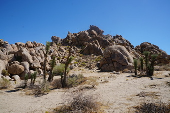 Enlarge photo 39