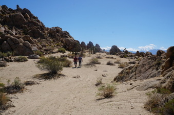 Enlarge photo 41