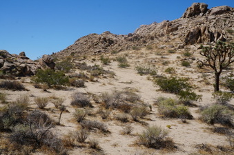 Enlarge photo 42