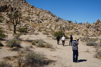 Enlarge photo 43