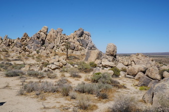 Enlarge photo 44
