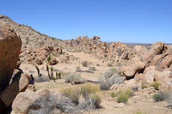 Enlarge photo 57