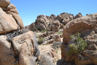 Enlarge photo 61