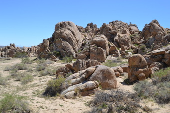 Enlarge photo 63