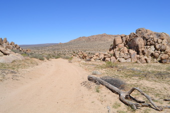 Enlarge photo 65