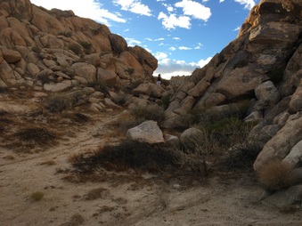 Enlarge photo 47