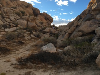 Enlarge photo 48