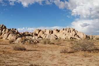 Enlarge photo 54