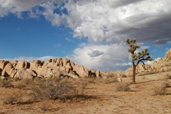 Enlarge photo 55