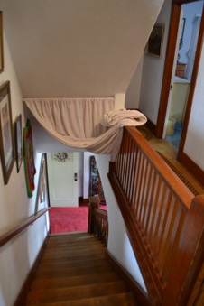 Enlarge photo 35