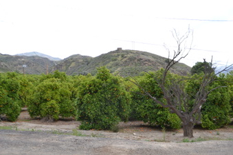 Enlarge photo 11