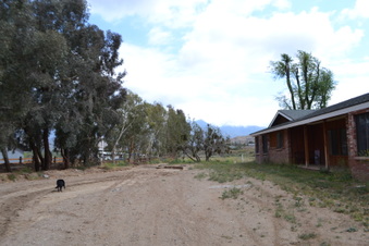 Enlarge photo 8