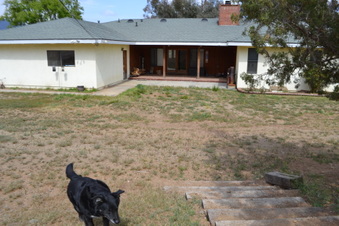 Enlarge photo 46