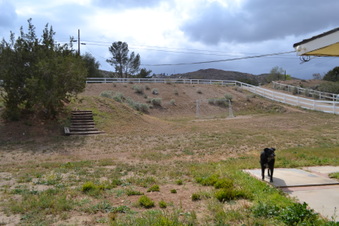 Enlarge photo 48