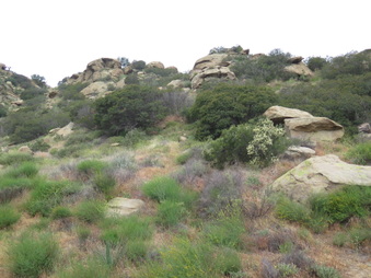 Enlarge photo 10