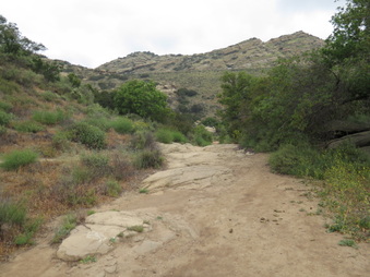 Enlarge photo 12