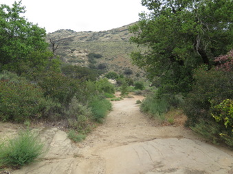 Enlarge photo 14