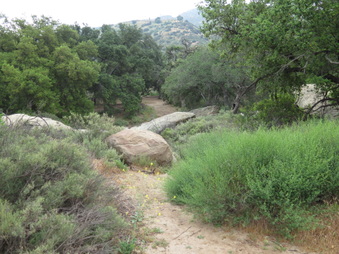 Enlarge photo 13