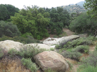 Enlarge photo 15