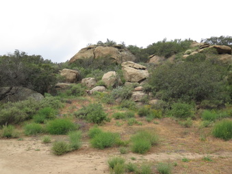 Enlarge photo 16