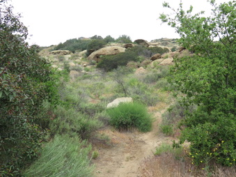 Enlarge photo 17