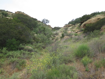Enlarge photo 18