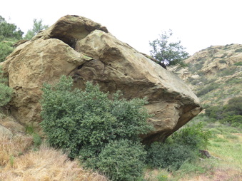 Enlarge photo 22