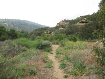 Enlarge photo 24