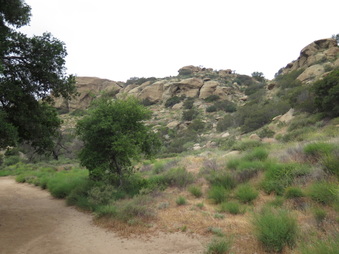 Enlarge photo 9