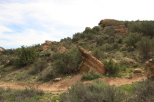 Enlarge photo 82