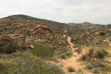Enlarge photo 75