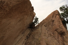 Enlarge photo 73