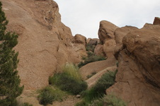 Enlarge photo 66