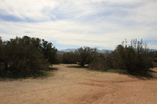 Enlarge photo 29
