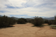 Enlarge photo 27