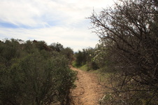 Enlarge photo 19