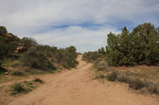 Enlarge photo 16