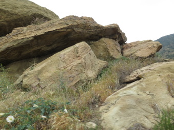 Enlarge photo 28