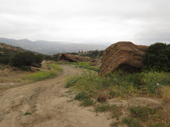 Enlarge photo 27