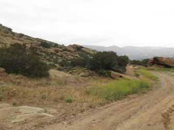 Enlarge photo 29