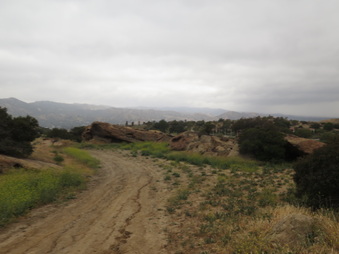 Enlarge photo 30
