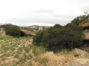 Enlarge photo 31