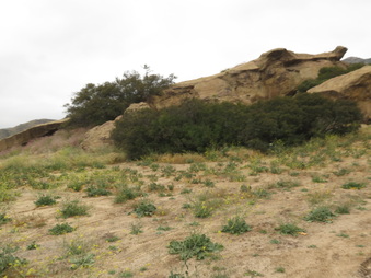 Enlarge photo 32