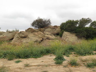 Enlarge photo 33