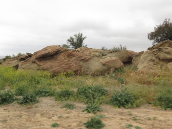 Enlarge photo 35