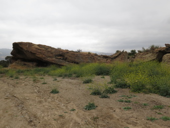 Enlarge photo 34