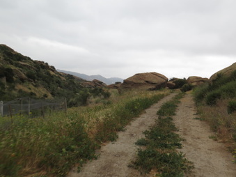 Enlarge photo 19