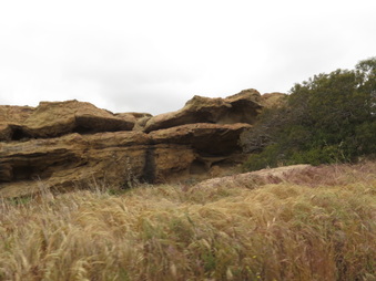 Enlarge photo 41