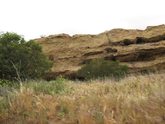 Enlarge photo 42