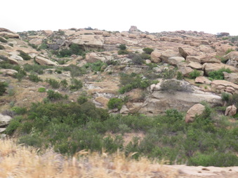 Enlarge photo 43